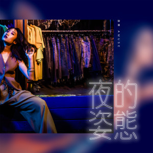 อัลบัม 夜的姿態 ศิลปิน 游乐