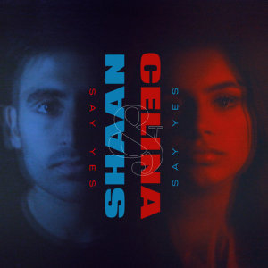 ดาวน์โหลดและฟังเพลง Say Yes พร้อมเนื้อเพลงจาก DJ Shaan