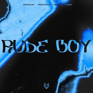 ดาวน์โหลดและฟังเพลง Rude Boy (HardTekk) พร้อมเนื้อเพลงจาก TEKKCAT