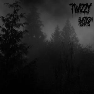Listen to TWIZZY! (feat. henry$) (Explicit) song with lyrics from blaziken