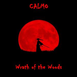 ดาวน์โหลดและฟังเพลง Wrath of the Woods พร้อมเนื้อเพลงจาก Calmo