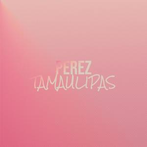 Album Perez Tamaulipas oleh Various