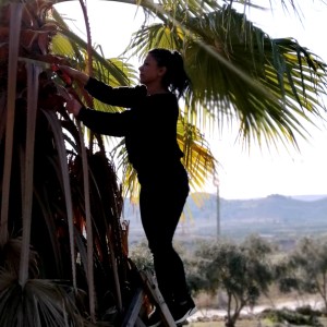 อัลบัม Ax le kıne ศิลปิน Zîlan Derman