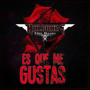 Halcones del Bajío的专辑Es Que Me Gustas