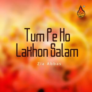 Listen to Ya Ibn E Zehra Ya Mehdi song with lyrics from Zia Abbas