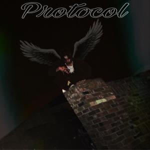 MadNeTex的專輯Protocol (feat. Whoisfaber) (Explicit)