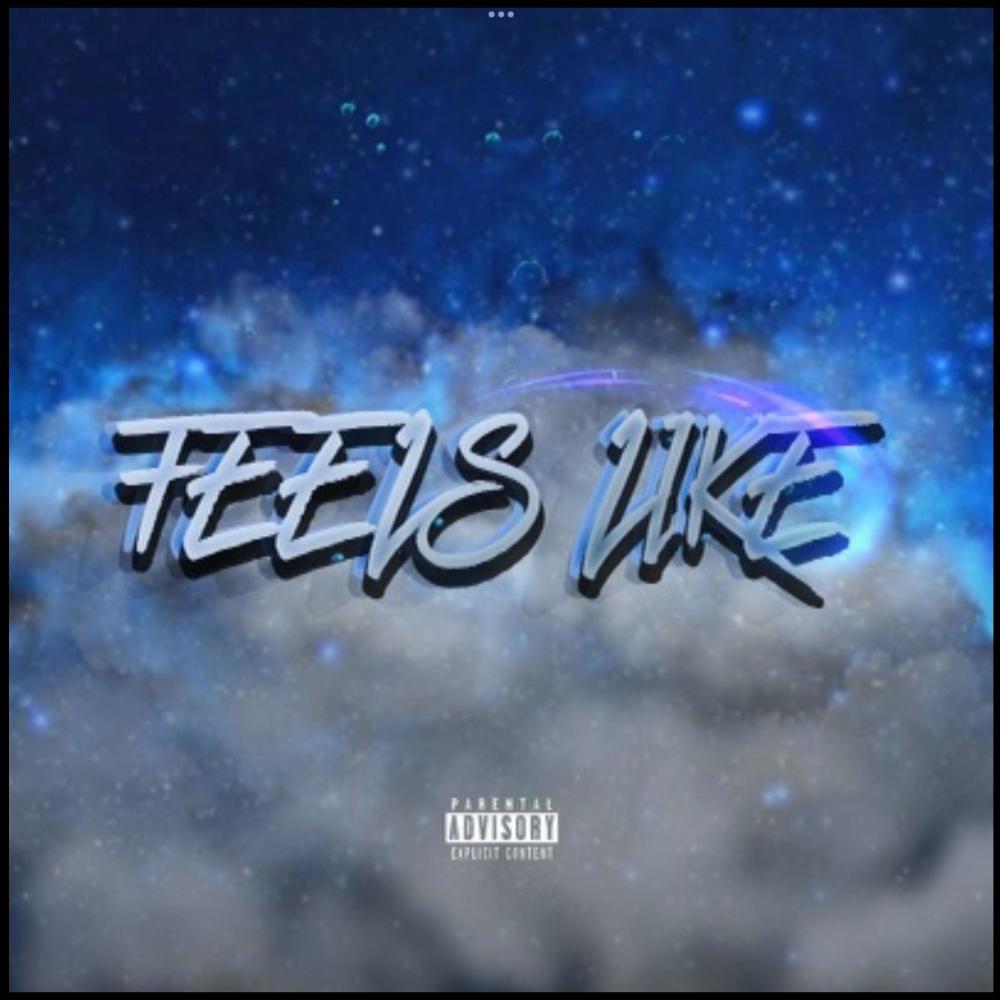 Feels Like (feat. RAPH) (Explicit)