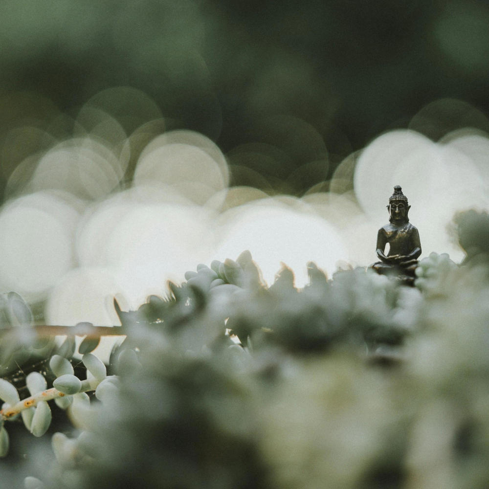 zen state of mind