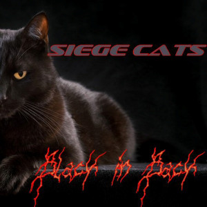 ดาวน์โหลดและฟังเพลง War Cat พร้อมเนื้อเพลงจาก Siege Cats