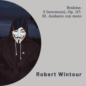 อัลบัม Brahms: 3 Intermezzi, Op, 117: III. Andante con moto ศิลปิน Johannes Brahms