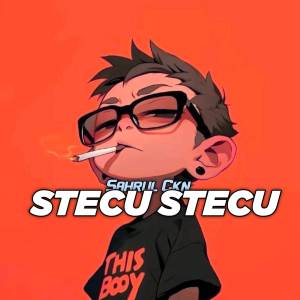 收聽Sahrul Ckn的DJ Stecu Stecu歌詞歌曲