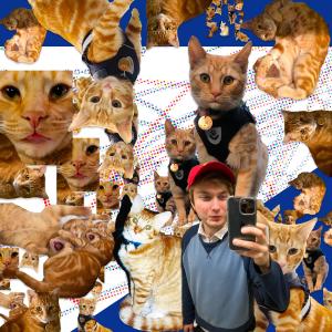 ดาวน์โหลดและฟังเพลง Tiger Cubs (feat. Henry Solomon & Jacob Richards) พร้อมเนื้อเพลงจาก Logan Kane