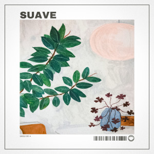 Listen to Suave song with lyrics from Dpsht