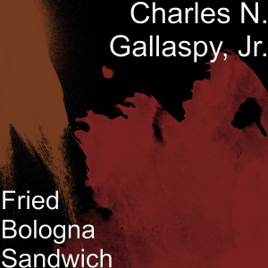 Album Fried Bologna Sandwich from Charles N. Gallaspy, Jr.