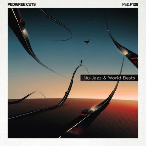 Album Nu Jazz & World Beats from Alessandro Rizzo