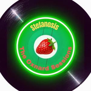 ดาวน์โหลดและฟังเพลง Broke in Bakersfield พร้อมเนื้อเพลงจาก Stefanosis