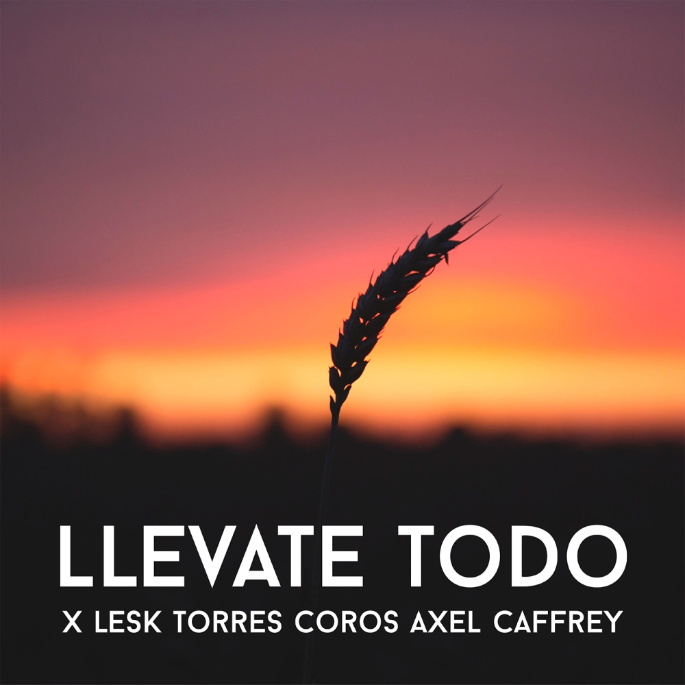 Llévate Todo