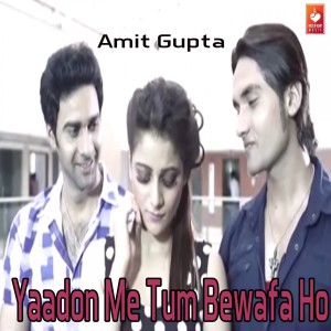 收听Amit Gupta的Yaadon Me Tum Bewafa Ho歌词歌曲