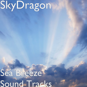 收听SkyDragon的We Are All Alone歌词歌曲