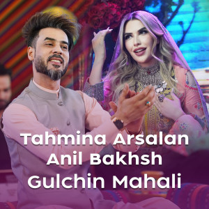 Tahmina Arsalan的專輯Gulchin Mahali