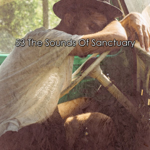 Album 53 The Sounds Of Sanctuary from Chill Out 2016