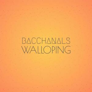 Album Bacchanals Walloping from Various