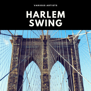 Album Harlem Swing (Explicit) from Johnny Hess