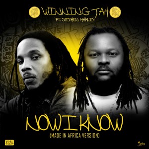 ดาวน์โหลดและฟังเพลง Now I Know (Made in Africa Version) พร้อมเนื้อเพลงจาก Winning Jah