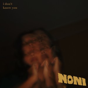 收听Noni的I Don't Know You歌词歌曲