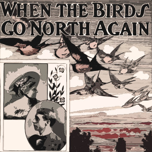 Album When The Birds Go North again from Lenny Dee