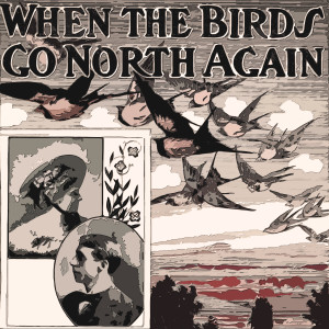 Lenny Dee的专辑When The Birds Go North again