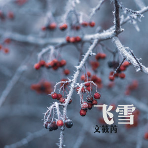 Album 飞雪 from 文筱芮