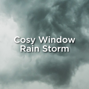 ดาวน์โหลดและฟังเพลง Cosy Indoor Storm พร้อมเนื้อเพลงจาก Thunderstorm Sound Bank