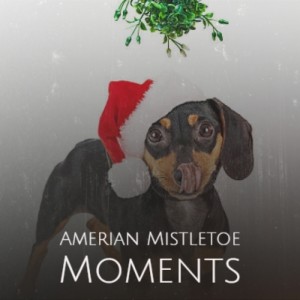 Listen to Blue Christmas Lights song with lyrics from Harve Bishop