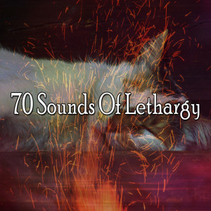 Album 70 Sounds of Lethargy from Sleep Baby Sleep