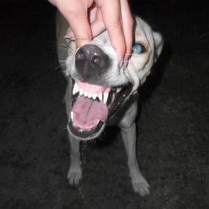 ดาวน์โหลดและฟังเพลง Proxy พร้อมเนื้อเพลงจาก solarizzz