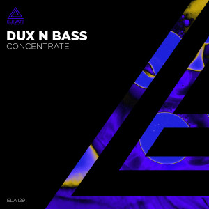 Listen to Concentrate song with lyrics from Dux N Bass