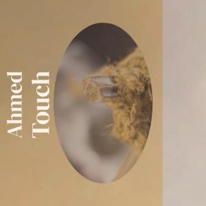 Various的专辑Ahmed Touch