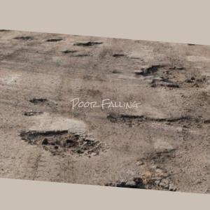 Album Poor Falling from Various