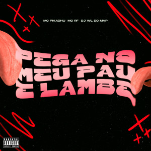 Album PEGA NO MEU PAU E LAMBE (Explicit) from DJ WL DO MVP