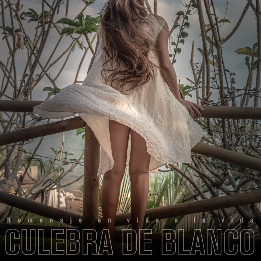Culebra de Blanco / Alejandro Ramirez (feat. Alejandro Ramirez)
