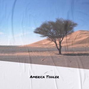 Listen to America Tiddler song with lyrics from Larsa