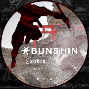 ดาวน์โหลดและฟังเพลง Shaked พร้อมเนื้อเพลงจาก ∑xobra