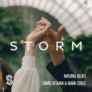 Listen to Natural Blues song with lyrics from David Atsman
