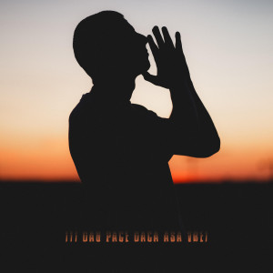 Album Îți dau pace dacă așa vrei from David Skunk