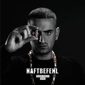 收聽Haftbefehl的Ihr Hurensöhne (Babos Remix|Explicit)歌詞歌曲