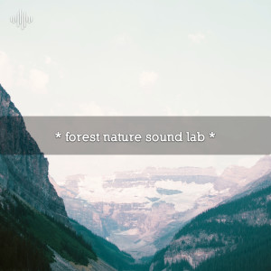 Dengarkan lagu Bird Songs Over Running Streams nyanyian Deep Sleep dengan lirik