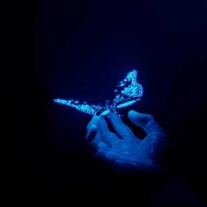 ดาวน์โหลดและฟังเพลง Yıldızlara Yakın พร้อมเนื้อเพลงจาก Enes Akgün