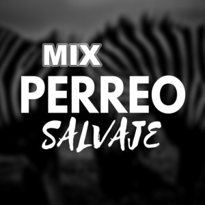 Dengarkan Mix Perreo Salvaje lagu dari DJ Fogueo dengan lirik