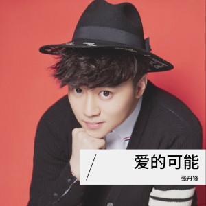 Album 爱的可能(男版) from 张丹锋